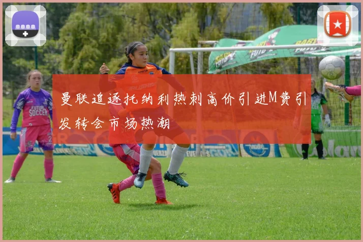 曼联追逐托纳利热刺高价引进M费引发转会市场热潮