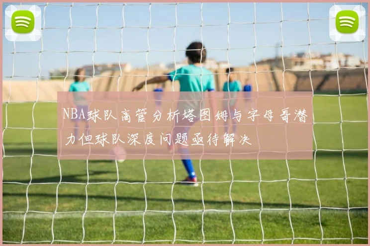 NBA球队高管分析塔图姆与字母哥潜力但球队深度问题亟待解决